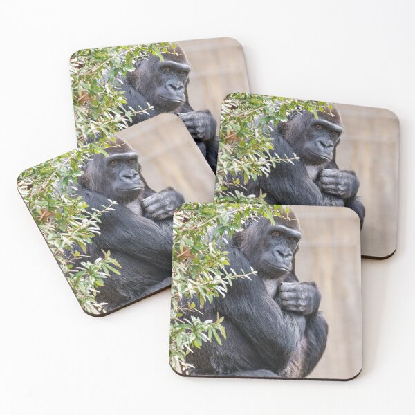 Item preview, Mandara the Gorilla at the National Zoo designed and sold by Zoo and Nature Photography by Karie.