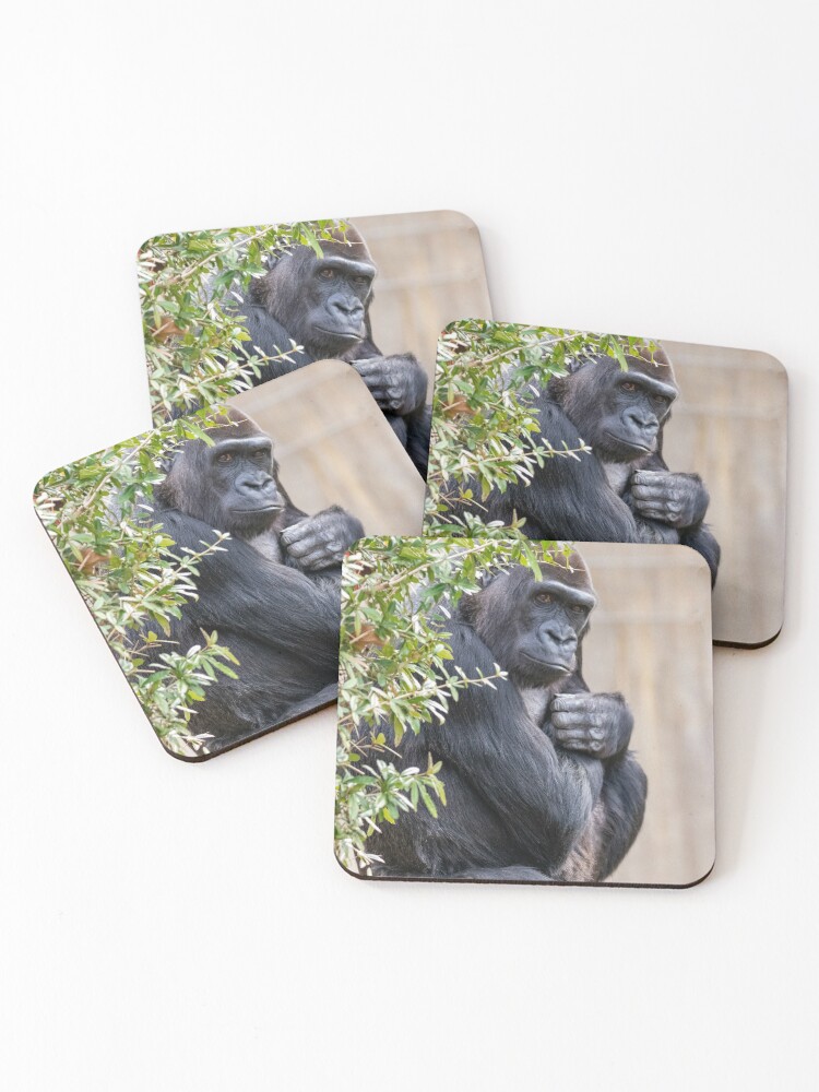 https://ih1.redbubble.net/image.4934267114.8919/ur,coaster_pack_4_flatlay,wide_portrait,750x1000.1.jpg