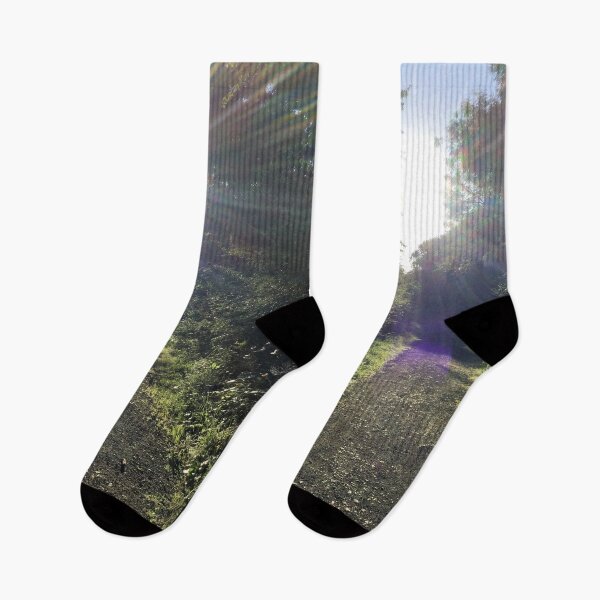 Item preview, Sunny Woodland Path  designed and sold by Andrew Morrell.