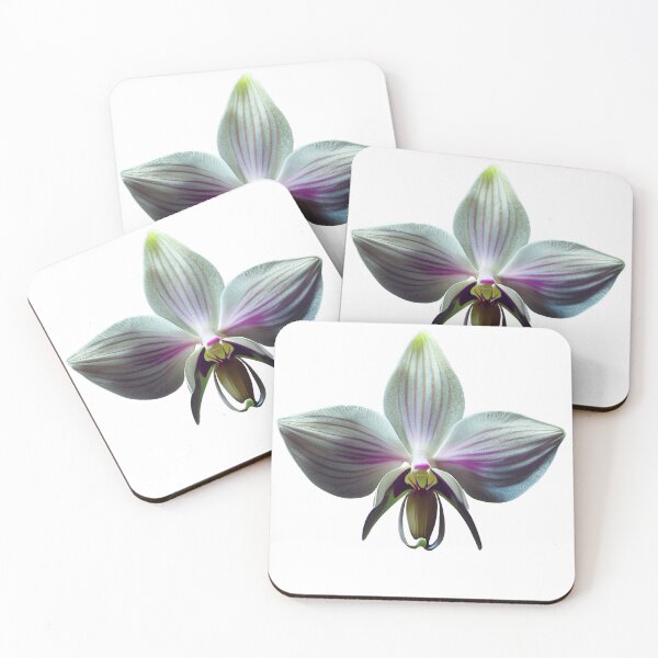 Item preview, White orchid designed and sold by A-Artistries.