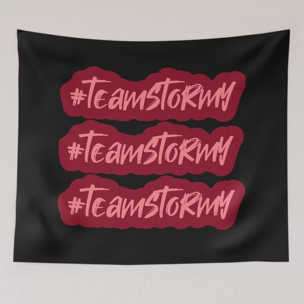 Item preview, Team Stormy Artwork - Anti Trump 2024, Trump 20-24 Years Lock Him Up designed and sold by zptees.