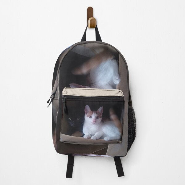 Item preview, #277 |☼| Box Buddies - Alfie & Marley (Cats) designed and sold by Naean H.F. (Nez Man).
