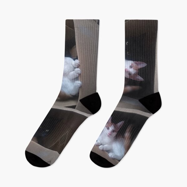 Item preview, #277 |☼| Box Buddies - Alfie & Marley (Cats) designed and sold by Naean H.F. (Nez Man).