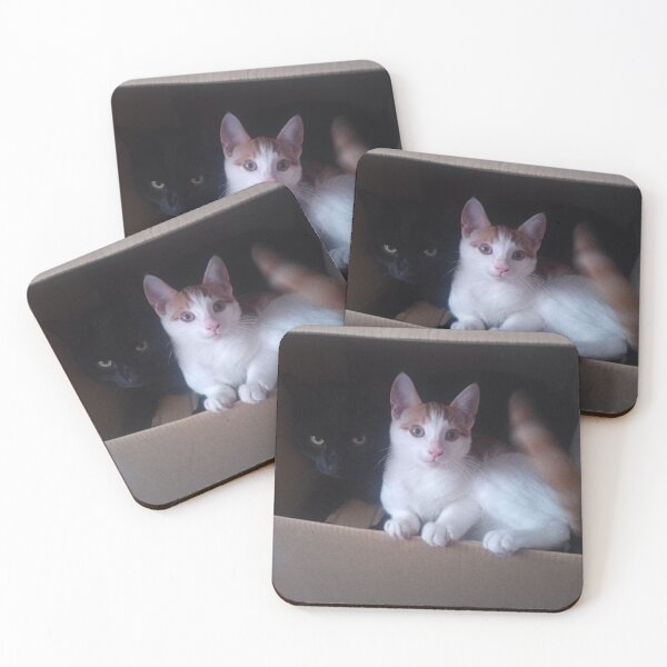 Item preview, #277 |☼| Box Buddies - Alfie & Marley (Cats) designed and sold by Naean H.F. (Nez Man).
