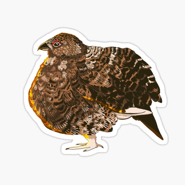 Item preview, Willow Ptarmigan, Alaska State Bird designed and sold by ShannonHunsaker.