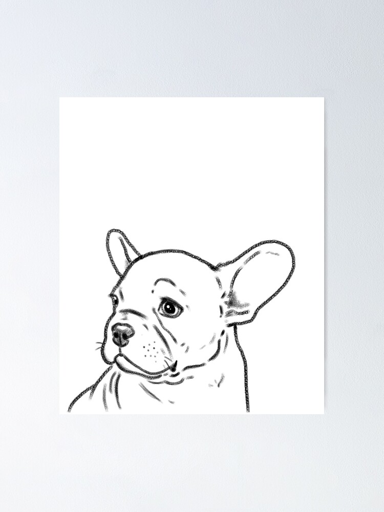 How to Draw a Bulldog (Head Detail) VIDEO & Step-by-Step Pictures