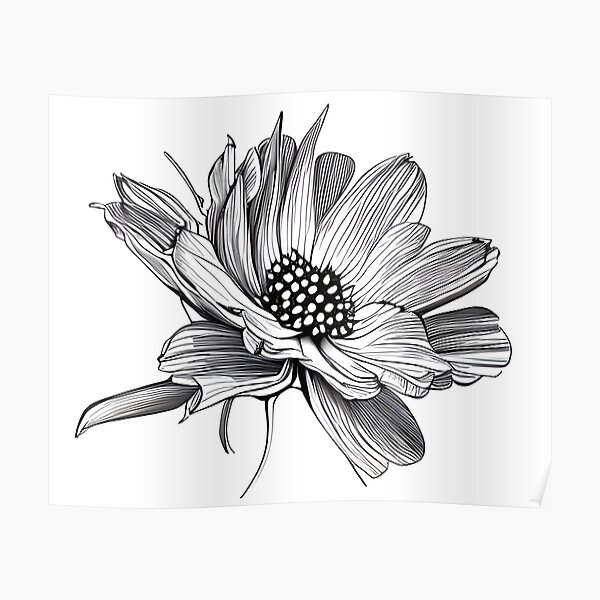 flower sketch stock photos, vectors and video footage | Crushpixel