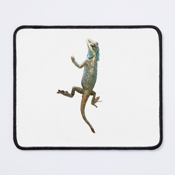 Item preview, Valorant Gekko designed and sold by Ounistore.