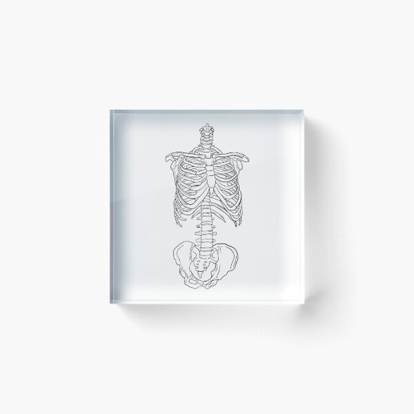 Item preview, Skeletal Thorax designed and sold by mmswartz.