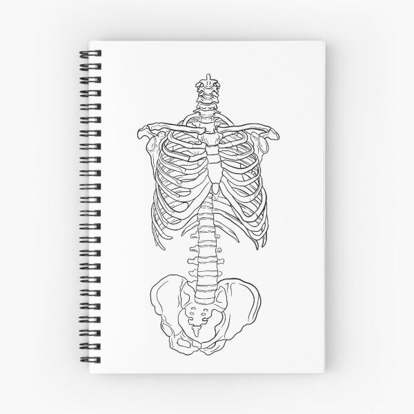 Item preview, Skeletal Thorax designed and sold by mmswartz.