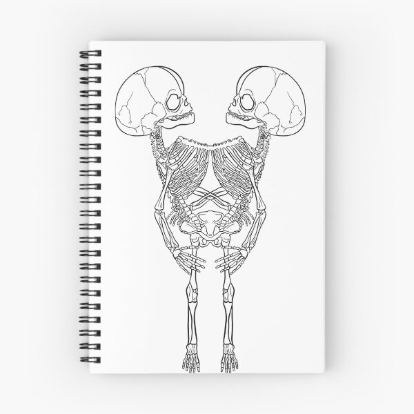 Item preview, Fetal Conjoined Skeleton designed and sold by mmswartz.