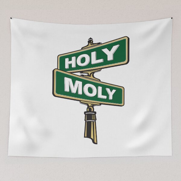 Item preview, Holy Moly Crossroads Street Sign designed and sold by jeff-jones.