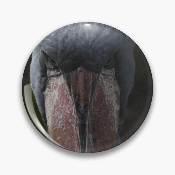 Item preview, Serious Shoebill Staredown designed and sold by Kim Pruim.