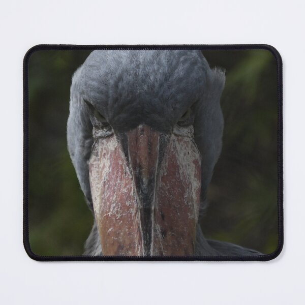 Item preview, Serious Shoebill Staredown designed and sold by Kim Pruim.