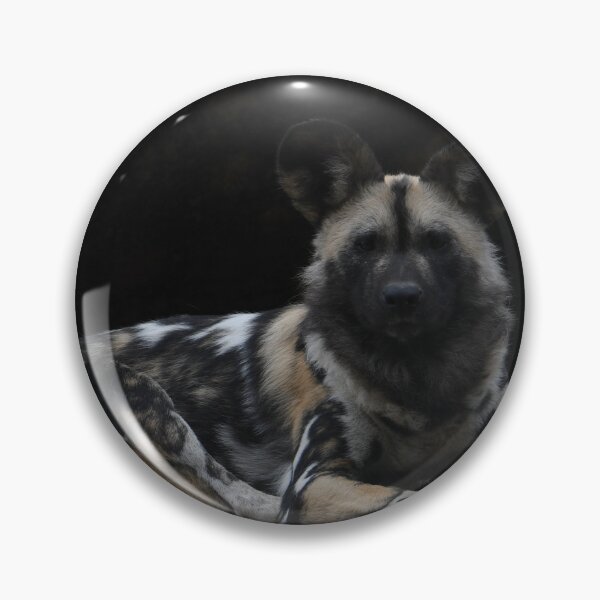 Item preview, African Painted Dog Stare Down designed and sold by Kim Pruim.