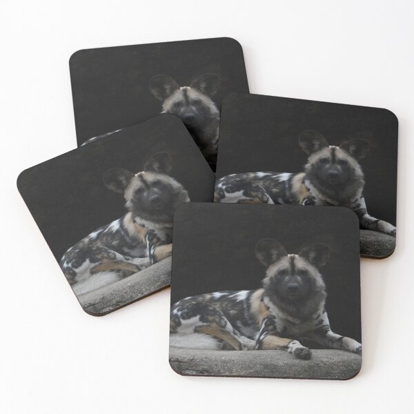 Item preview, African Painted Dog Stare Down designed and sold by Kim Pruim.