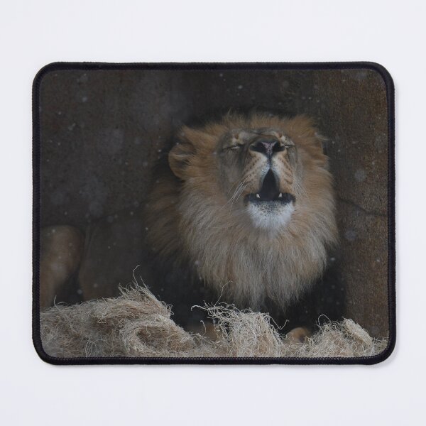 Item preview, Roaring During Snow Showers designed and sold by Kim Pruim.