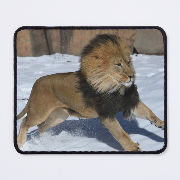 Item preview, Running In The Snow designed and sold by Kim Pruim.