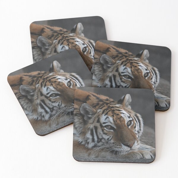 Item preview, A Sweet Tiger Portrait designed and sold by Kim Pruim.