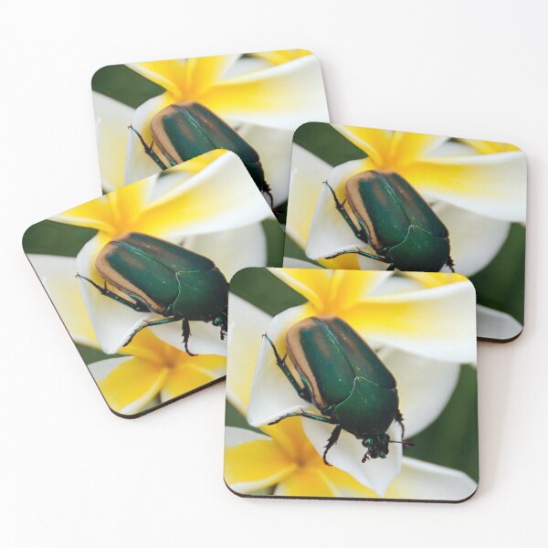 Item preview, June Beetle (a.k.a. June Bug) designed and sold by heatherfriedman.