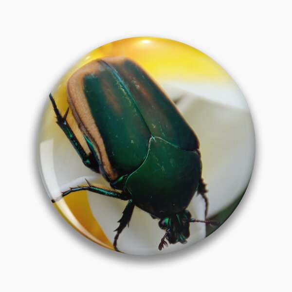 Item preview, June Beetle (a.k.a. June Bug) designed and sold by heatherfriedman.
