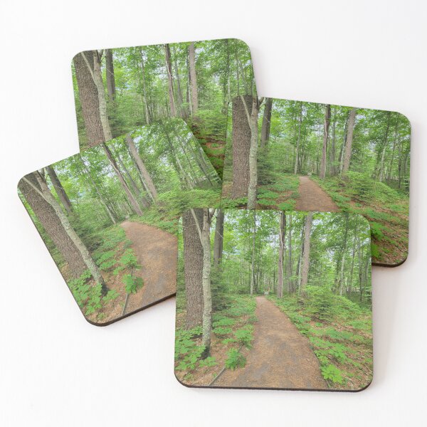 Item preview, Path in the Woods 2 designed and sold by KbugNatureStudio.
