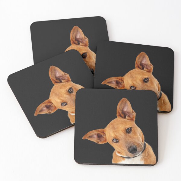 Item preview, DOGS WAY OF LOOKING AT IT designed and sold by Kezzie Prints.