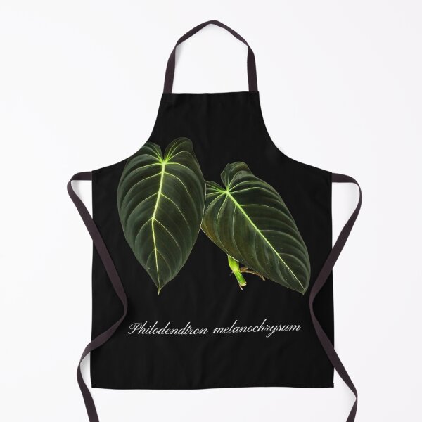 Item preview, Philodendron Melanochrysum - black designed and sold by stevelangenfeld.