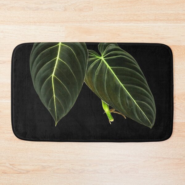 Item preview, Philodendron Melanochrysum - black designed and sold by stevelangenfeld.