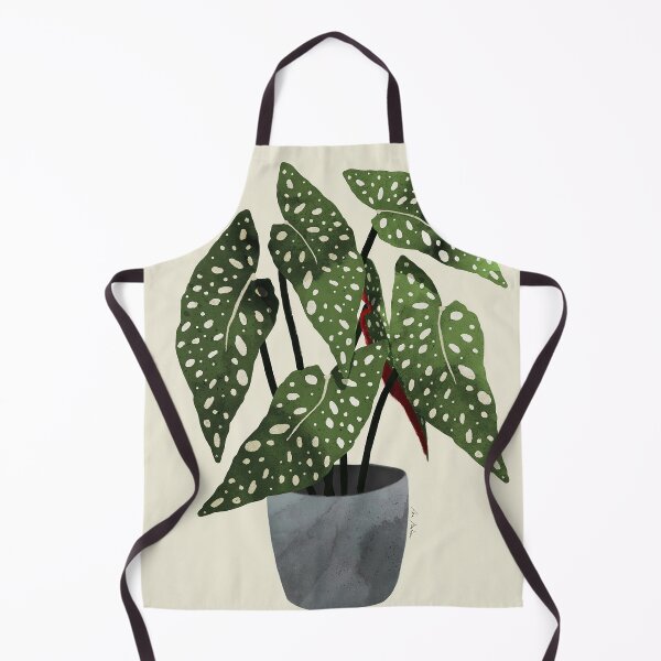 Item preview, begonia maculata plant designed and sold by shavonepiere.