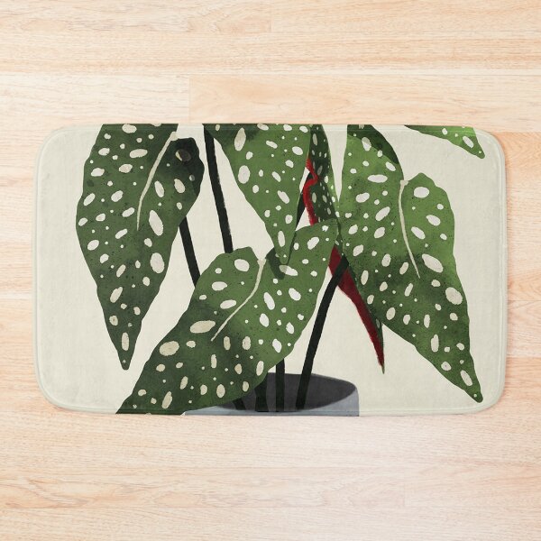 Item preview, begonia maculata plant designed and sold by shavonepiere.
