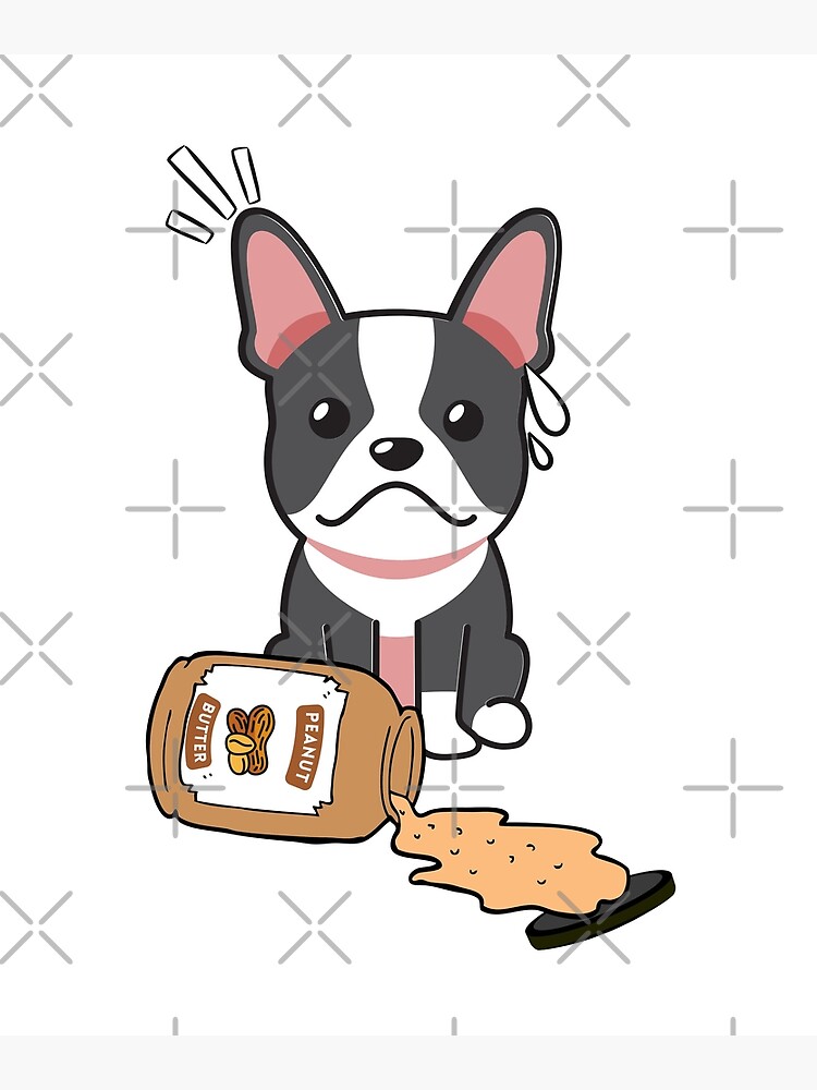 French bulldog hot sale peanut butter