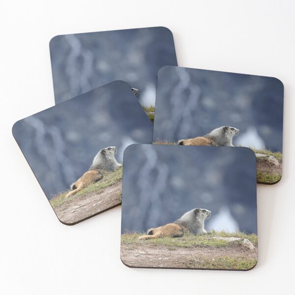 Item preview, Marmot view designed and sold by zumi.