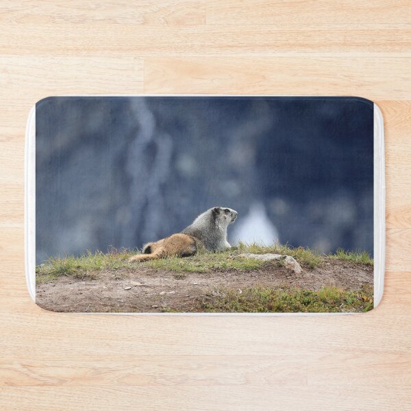Item preview, Marmot view designed and sold by zumi.