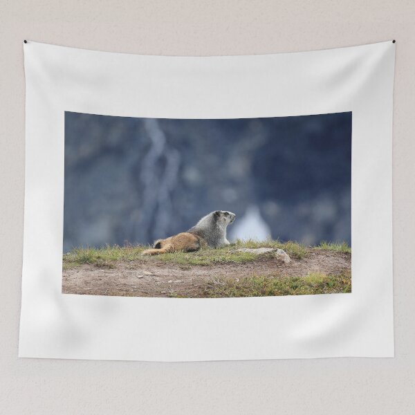 Item preview, Marmot view designed and sold by zumi.