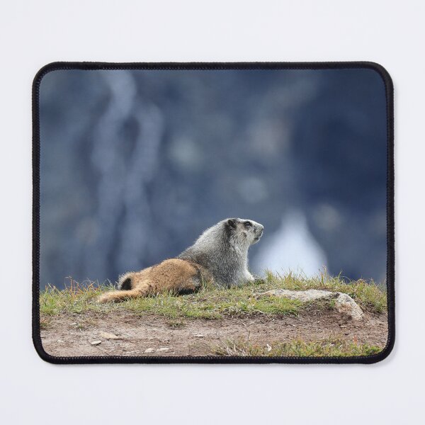 Item preview, Marmot view designed and sold by zumi.