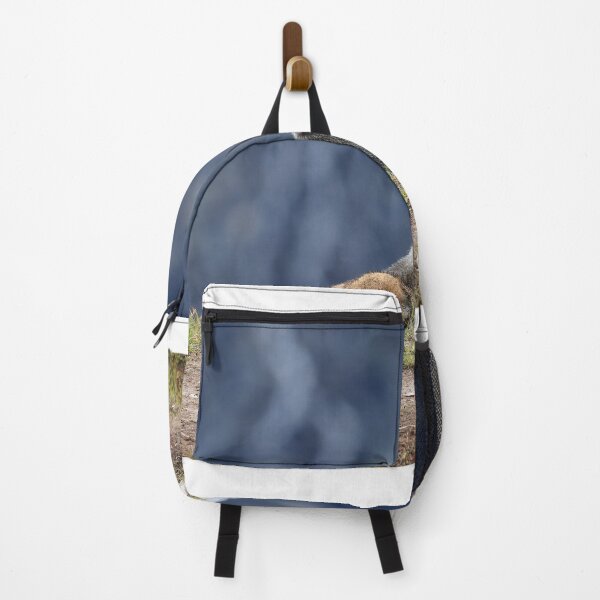 Item preview, Marmot view designed and sold by zumi.