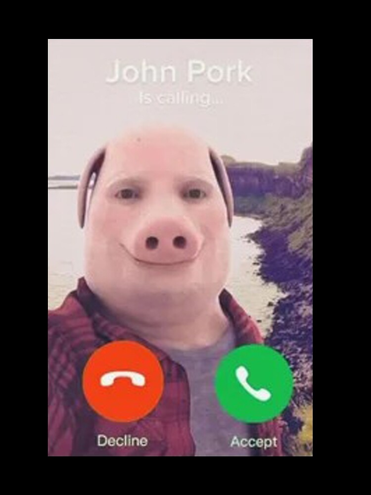 You declined John Pork's call. - Roblox