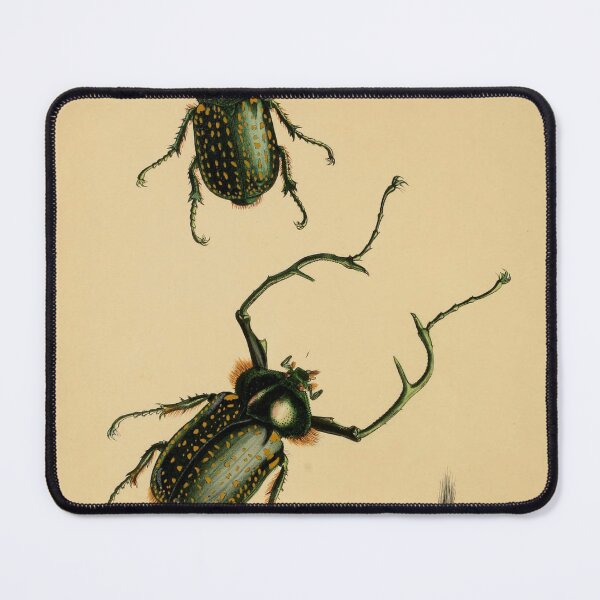 Item preview, Euchirus Macleah: Stunning Insect Illustration designed and sold by ptMaker.