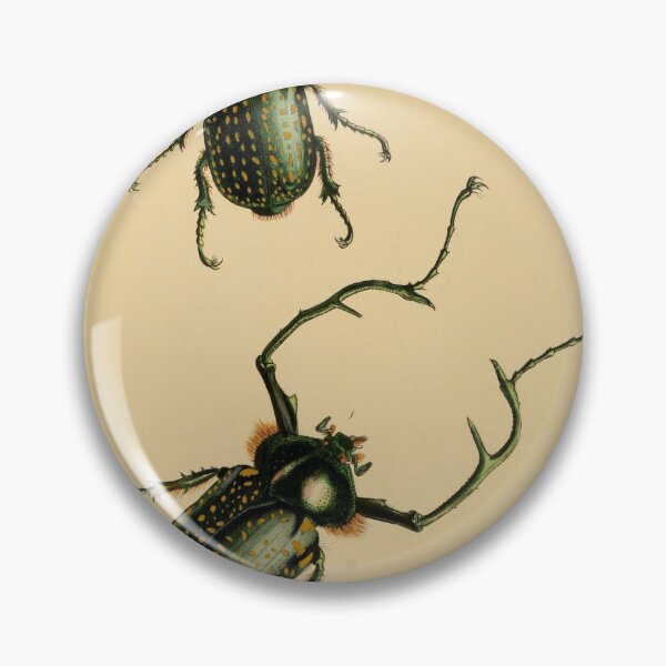 Item preview, Euchirus Macleah: Stunning Insect Illustration designed and sold by ptMaker.