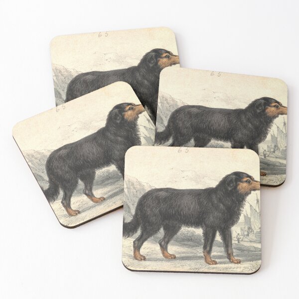 Item preview, Newfoundland Dog designed and sold by SwagMasterJ10.