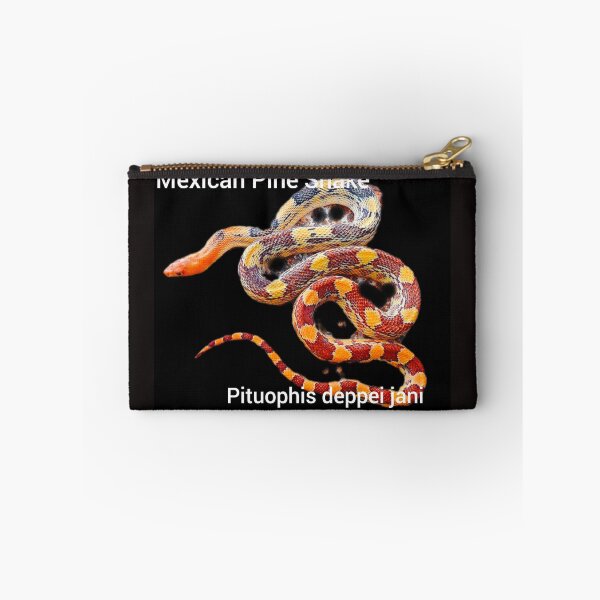 Item preview, Mexican Pine Snake  Pituophis deppei jani designed and sold by StrangeFetish.