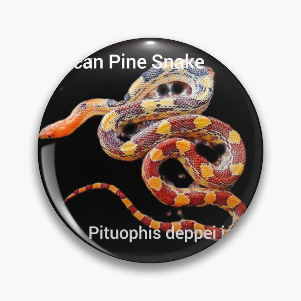 Item preview, Mexican Pine Snake  Pituophis deppei jani designed and sold by StrangeFetish.