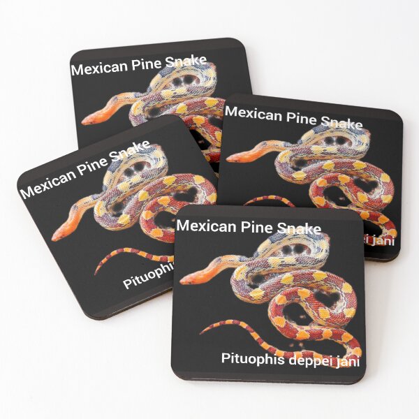 Item preview, Mexican Pine Snake  Pituophis deppei jani designed and sold by StrangeFetish.