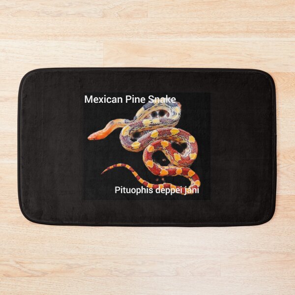 Item preview, Mexican Pine Snake  Pituophis deppei jani designed and sold by StrangeFetish.