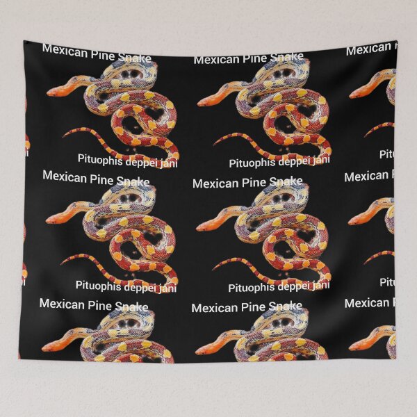 Item preview, Mexican Pine Snake  Pituophis deppei jani designed and sold by StrangeFetish.