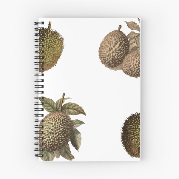 Item preview, vintage botanical durian fruits stickerpack designed and sold by EmeraldeaArt.