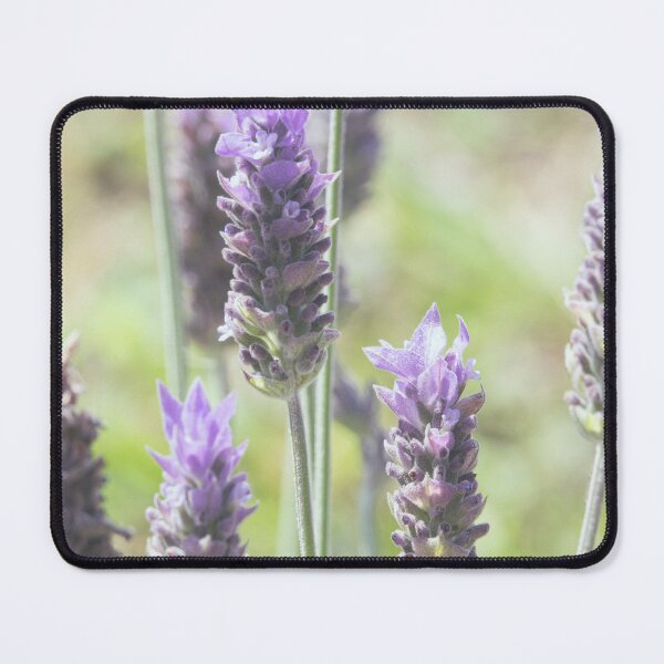 Item preview, Lavender Haze - Purple Flowers designed and sold by CarolinaReina.