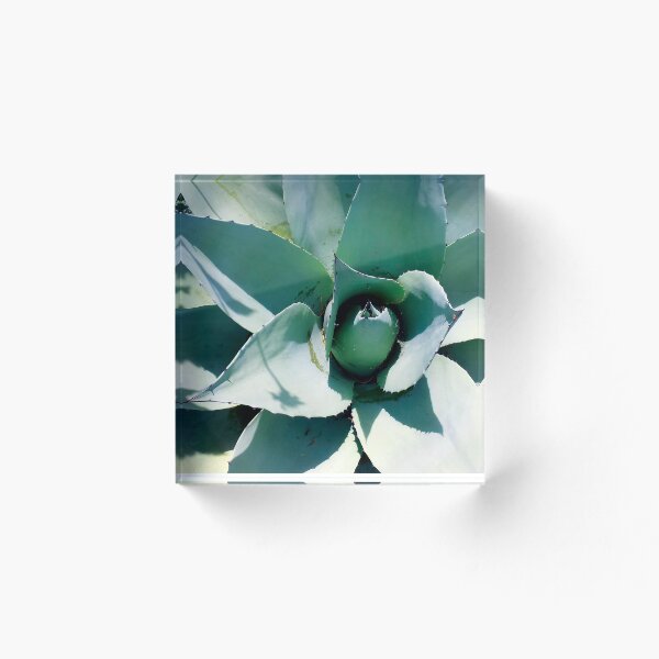 Item preview, Agave designed and sold by ScarletsWork.