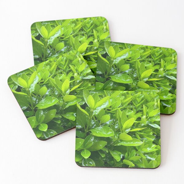 Item preview, Rainy day green leaves  designed and sold by sajin-jip.